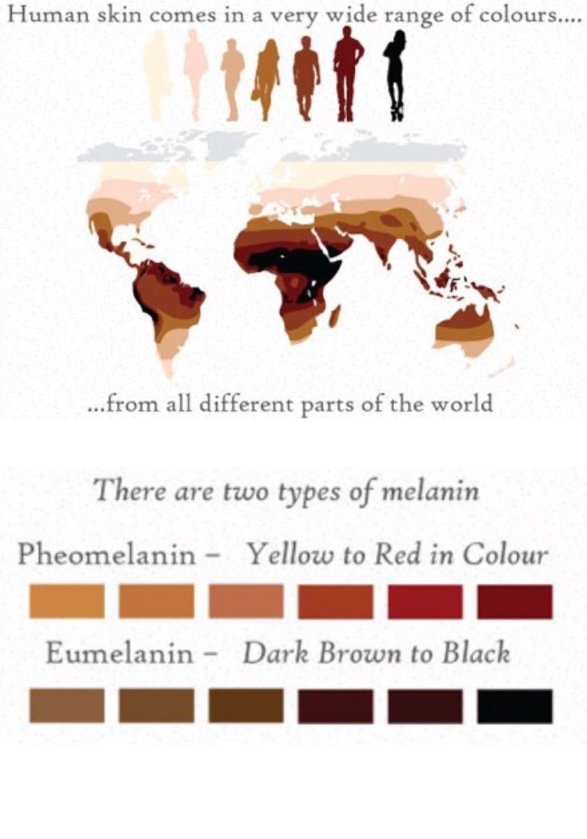 Chart of human skin colours around the world, with pheomelanin shown as yellow to red and eumelanin as dark brown to black