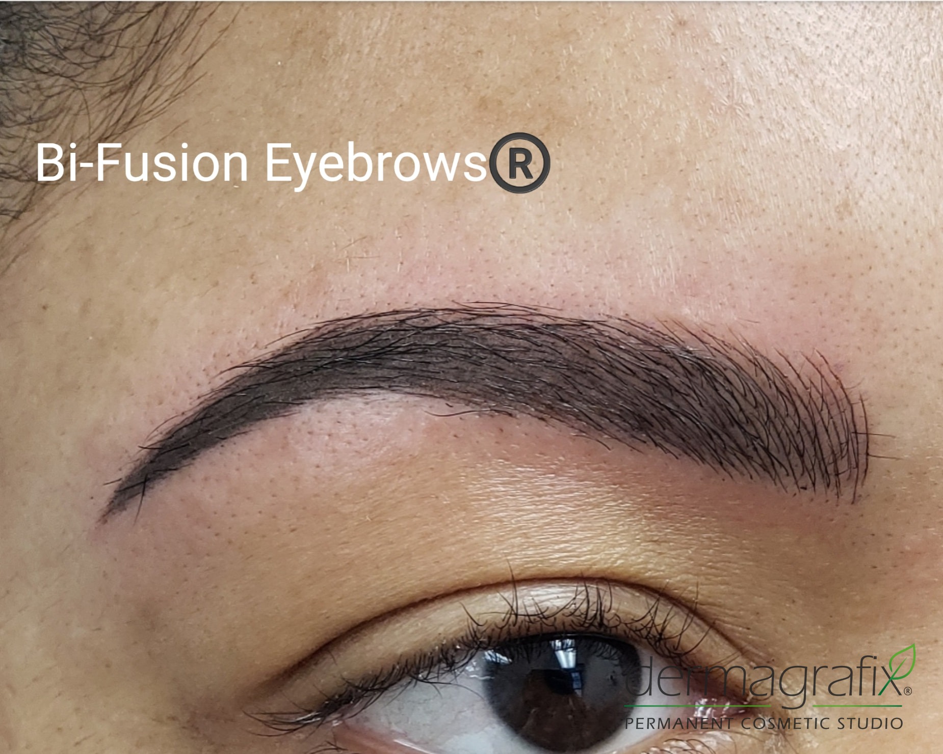 Healed Bi-Fusion brow combining machine nano-strokes with microblading detail